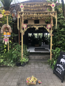 Vegan spaghetti bolognese and laksa soup at The Elephant restaurant in Ubud.