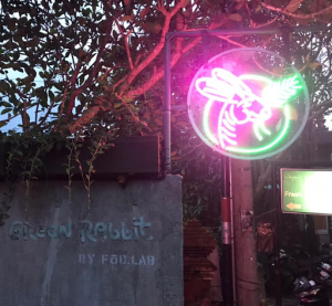 Falafel burger and coconut milk laksa at Green Rabbit vegetarian café in Ubud.