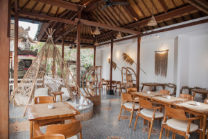 Medicinal plant-based dishes at Wild Vegan café in Ubud, including raw vegan lasagna.