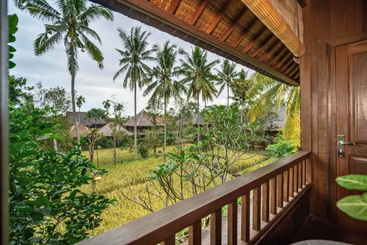 YNV - Balcony palm tree view