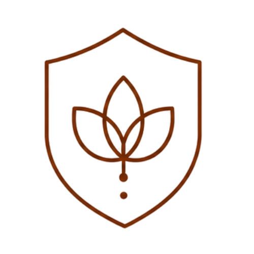 ii